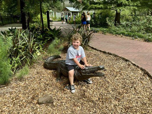 Alligator Sculpture