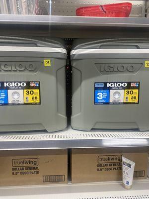 Igloo coolers