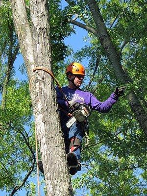 Columbia Tree & Lawn Service