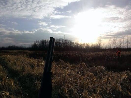 Hunting across from club-house.