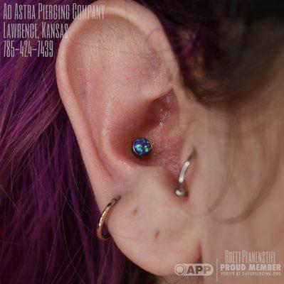 New Conch Piercing by APP Member Brett Pfanenstiel