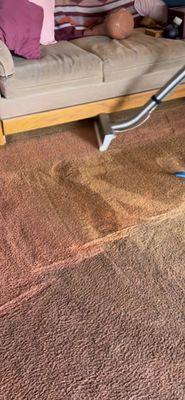 Carpet cleaning