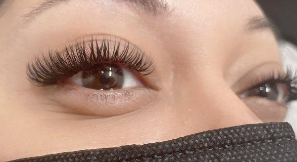 Lash by joy