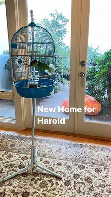 New Bird Cage for Harold my canary.