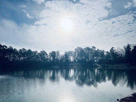 View of the fishing pond from the walking path