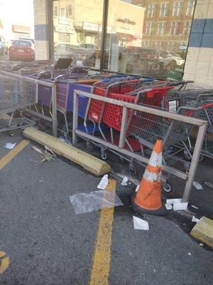 The United Nations of Shopping Carts