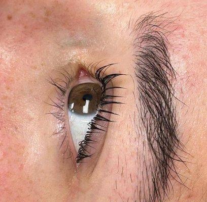 lash lift