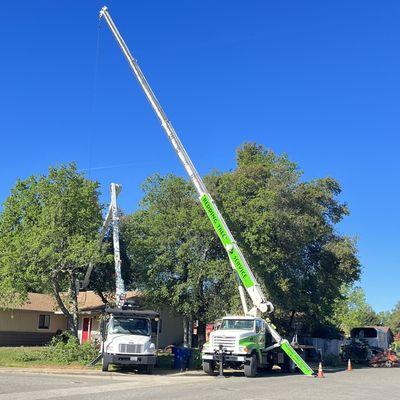 Redding Tree Service, Inc. Since 1980 - Licensed - Insured and Bond - Certified Crane Operator