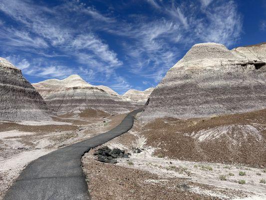 Blue Mesa Trail