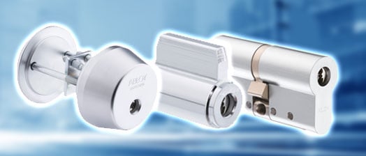 Commercial and Residential High Security Locks