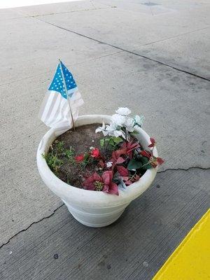 photo doesn't pertain to gas. come on this pot with xmas flowers?  has been here all summer? I would be embarrassed. +the flag is so faded