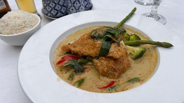 Green Curry Grouper