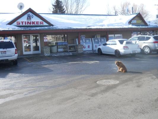 The best lil gas station around this town . . . complete with sweet lil stinker dog!