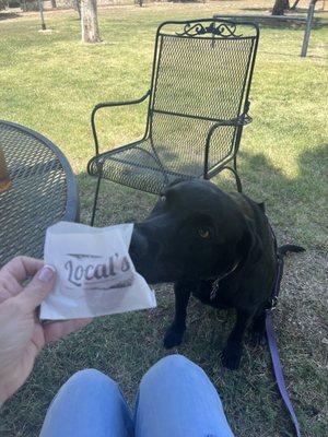 Special doggie treat gifted to our traveling companion!