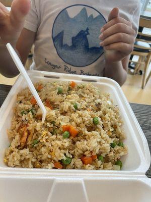 Tofu Fried Rice