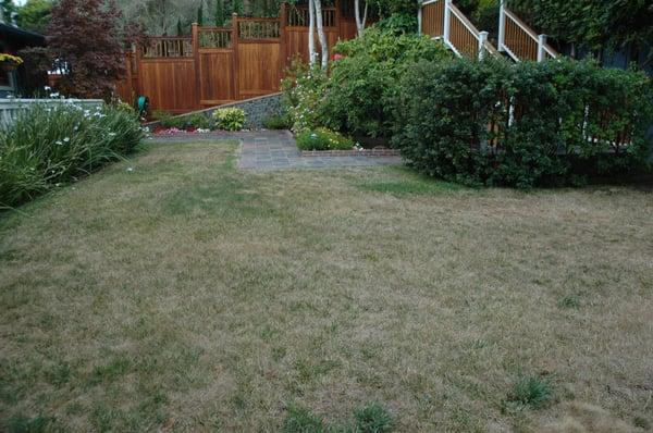 Lawns: Before