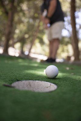 Mini golf at forest center