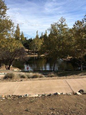 Pond with birdies 3