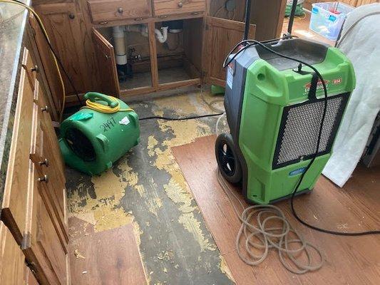 Our kitchen floor, thanks to Ray Lusk Plumbing