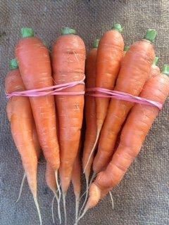 We love growing carrots and try to provide fresh ones most of the season.