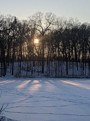 Asylum Lake Preserve