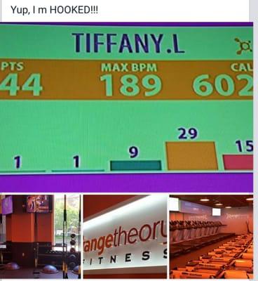 My first Orangetheory workout results!