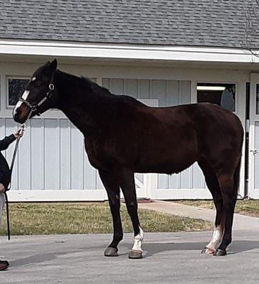 Stonestreet Farms