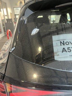 Lovely bird poop from the dealership