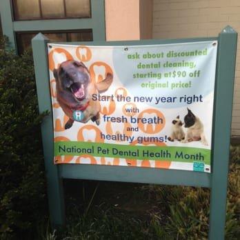 Pet Dental Health Month banner at VCA Holly Street - 5 years ago (!!)