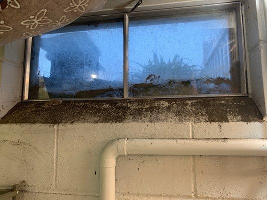 Basement bathroom window