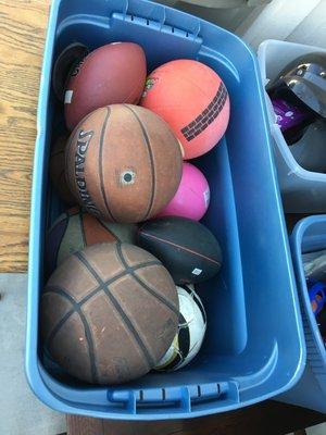 Sports Balls