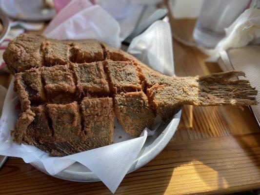 Whole fried flounder