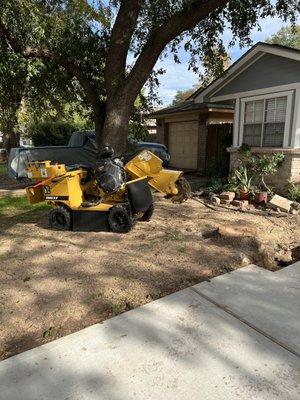 Stump grinding