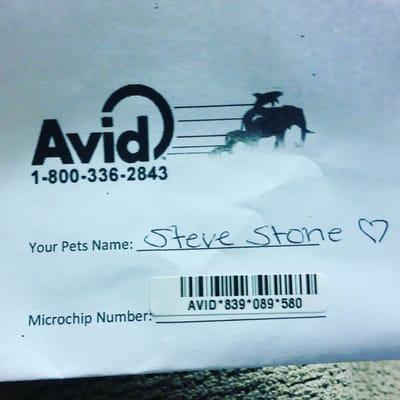 They even placed a heart next to my cats name..awww. Steve Stone has fans!!