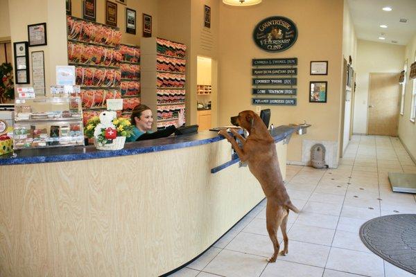 A joyful greeting at our front desk!