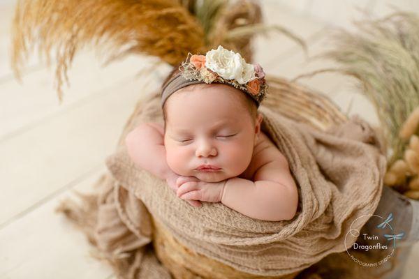 san jose newborn photographer