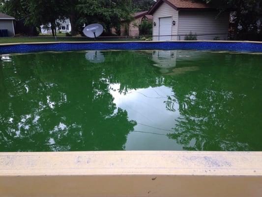 Our green pool - thanks Zagers!