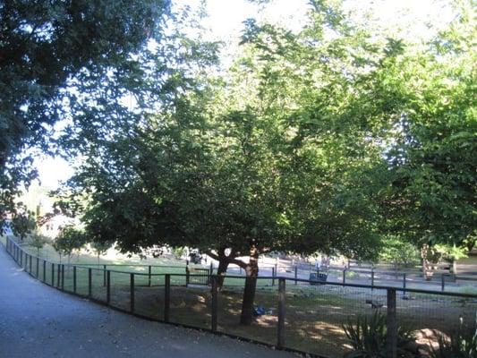 The large shaded Lotus Child Montessori outdoor play area