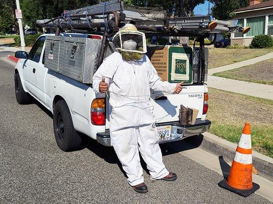 Manuel is getting ready to battle the bees.