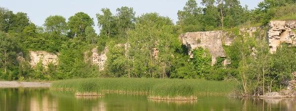 A part of the quarry I called the "Wetlands."