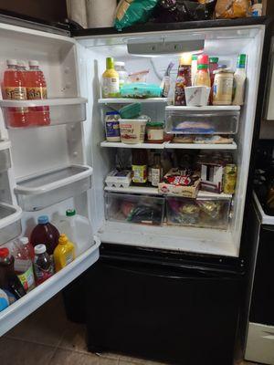 Before fridge cleaning