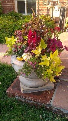 Fall pots