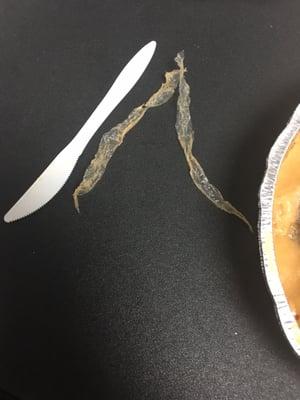 Piece of plastic found in food, plastic knife for size comparison purposes...