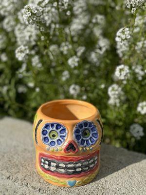 Clay skull planter