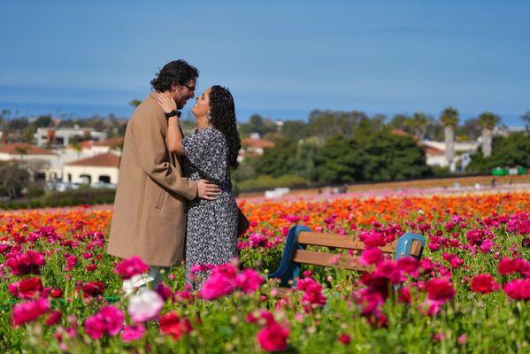 Carlsbad flower fields