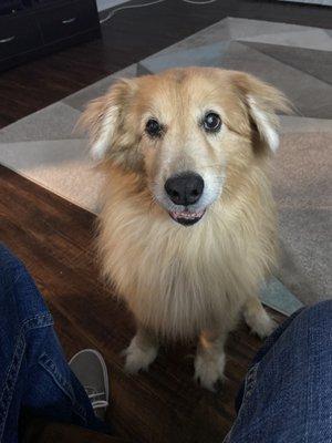 Pre-haircut and bath