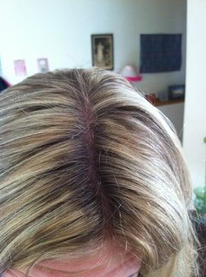 My unfortunate hair incident with Tracy--got a burnt scalp and splotchy highlights with long roots.  Then Tracy hung up on me :(