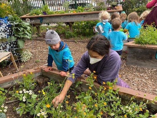 At our plot in the community garden!