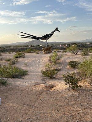 A highway roadrunner