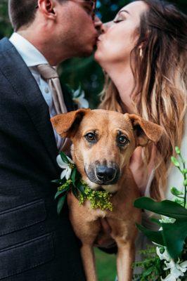 Saint Petersburg Fl wedding couple photography